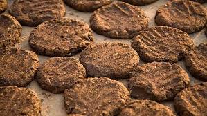 Cow Dung Cake