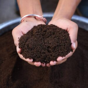 Vermicompost